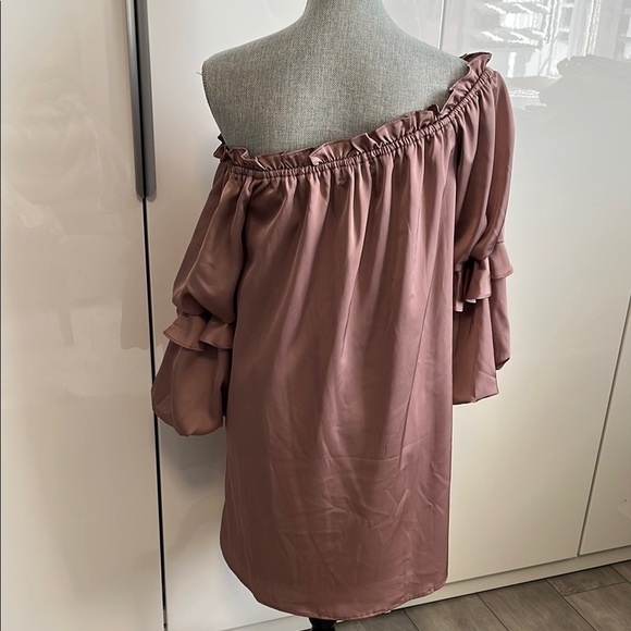 BLUSH Satiny Off-Shoulder Puff Sleeve Lined Dress in Blush, Size M - Picture 5 of 11